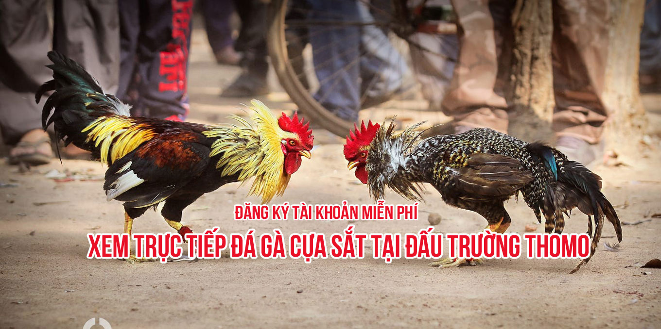 Theo dõi qua hệ thống truyền hình và internet