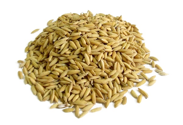 Những lưu ý khi lựa chọn thức ăn gà đá