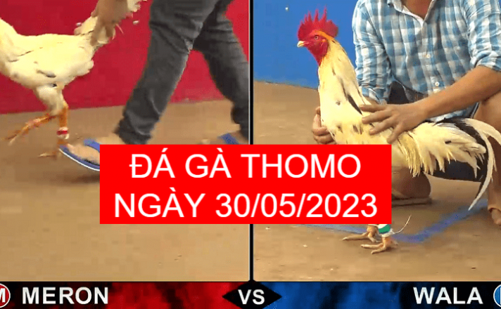Thông tin về đối thủ
