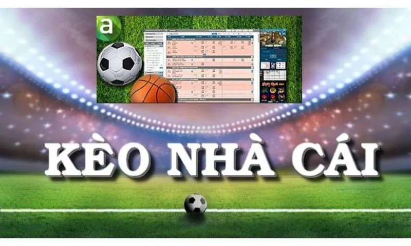 Khái niệm về tỷ lệ chấp kèo trong bóng đá
