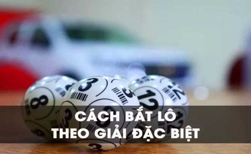 Cách bắt lô theo giải đặc biệt miền Bắc với lô câm