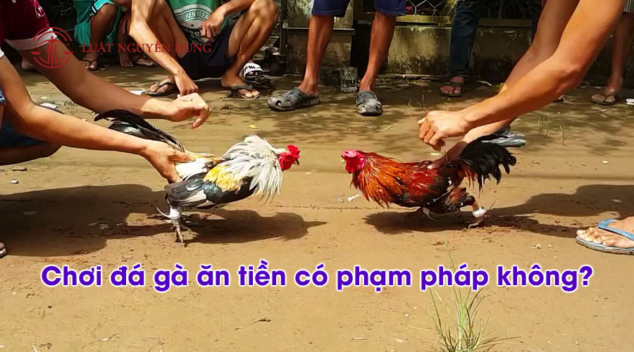 Được hỗ trợ tư vấn và chăm sóc cược thủ