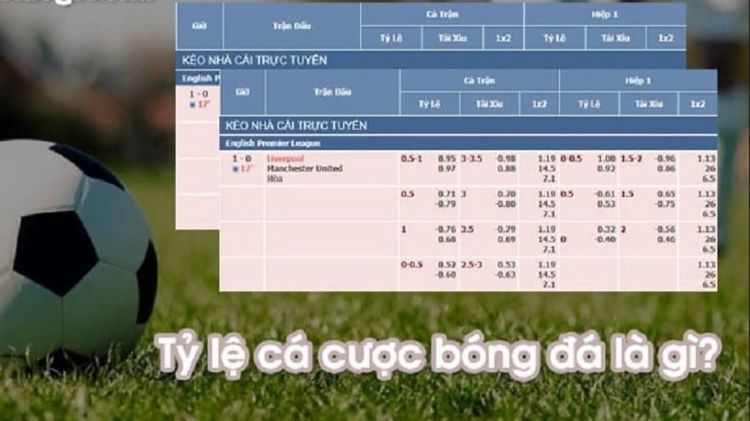 Tỷ lệ chấp kèo nửa trái – kèo ½ – kèo 0.5
